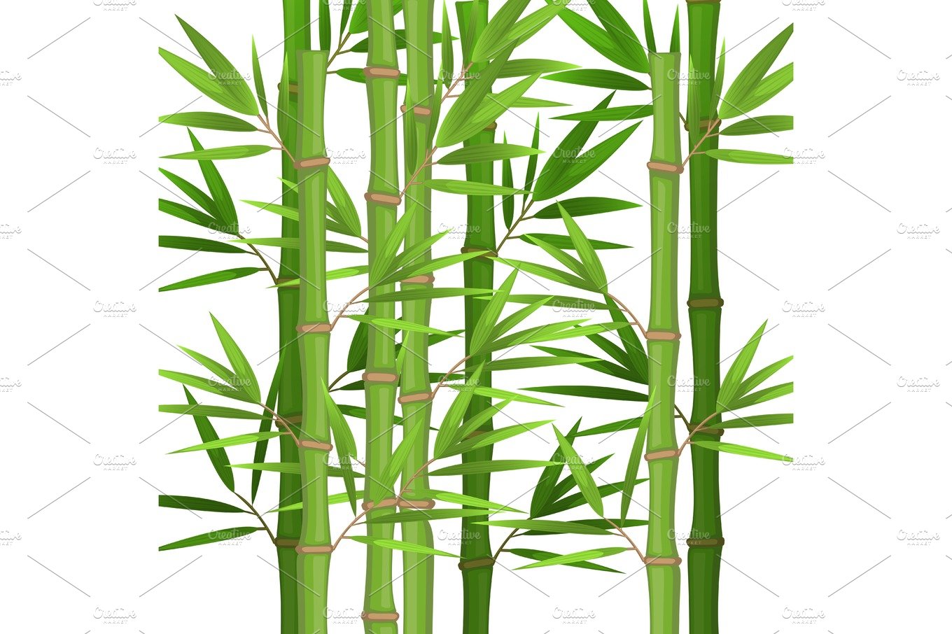 Bamboo tree with green leaves.