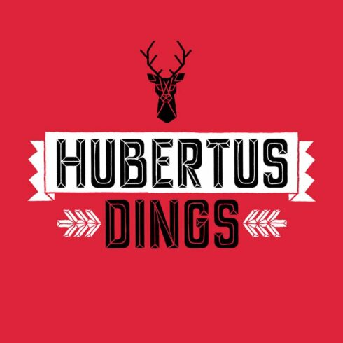 Hubertus Dings cover image.