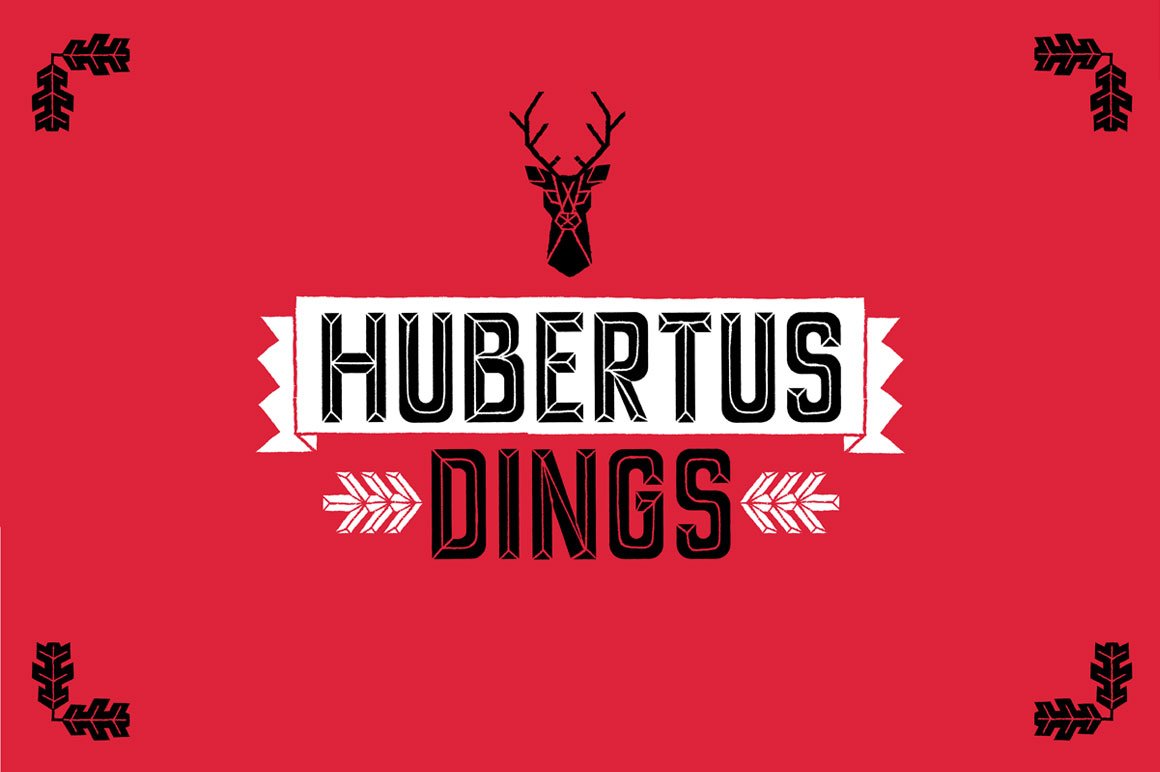 Hubertus Dings cover image.