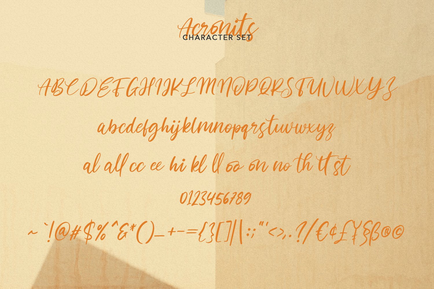 acronits script font 8 710