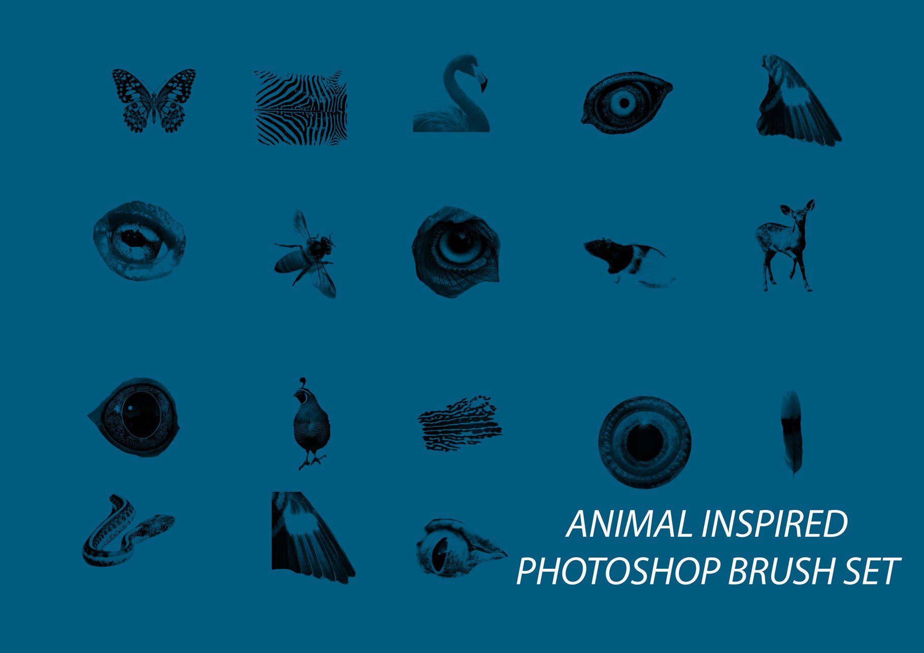 Animal Inspired PSD Brush Setpreview image.