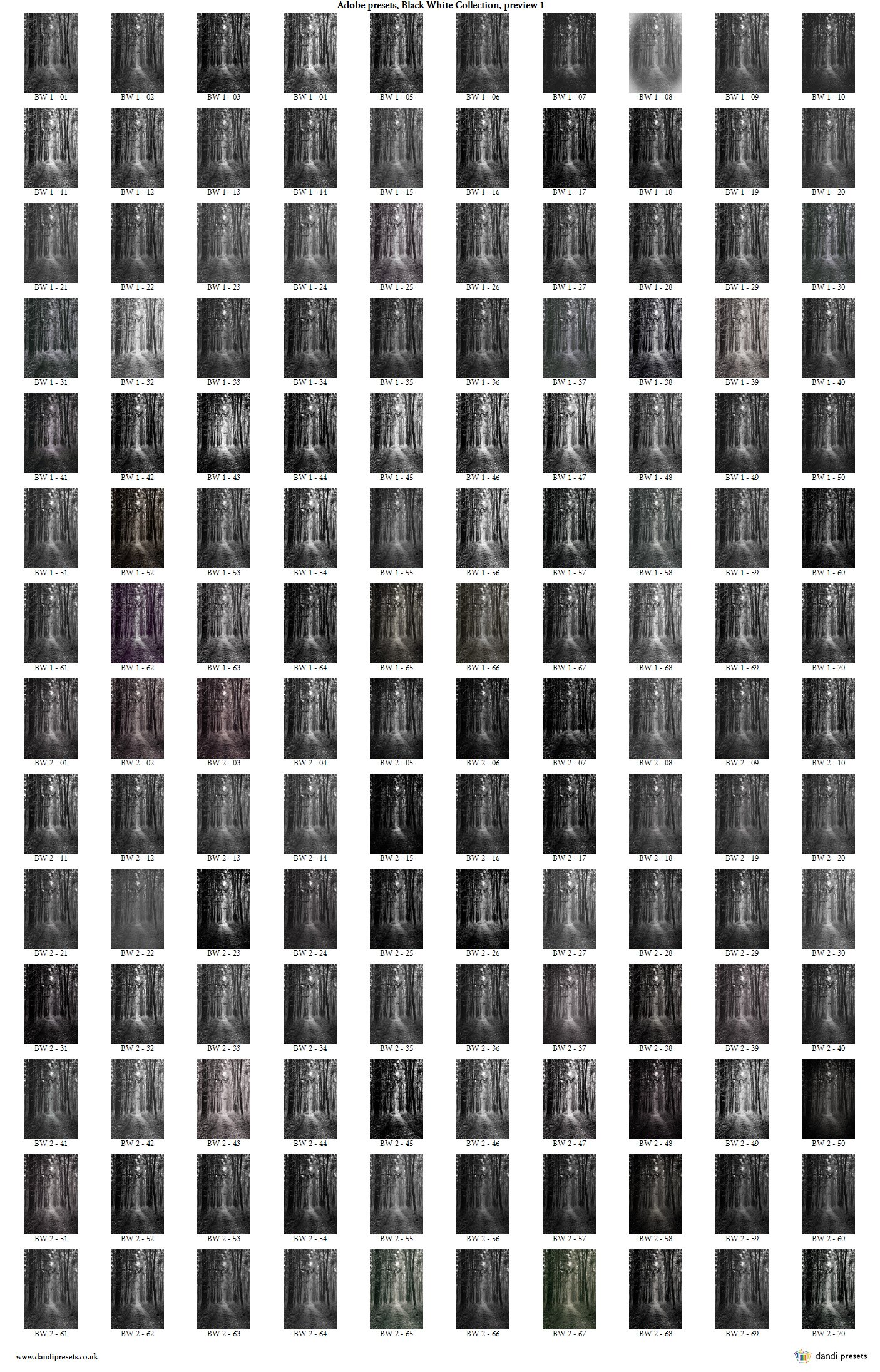 Black White Collection Adobe presetspreview image.