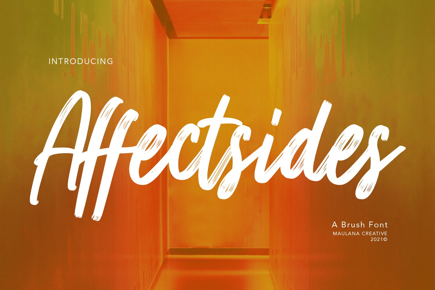 Affectsides Brush Font cover image.