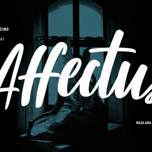 Affectus Handwritten Script Font cover image.