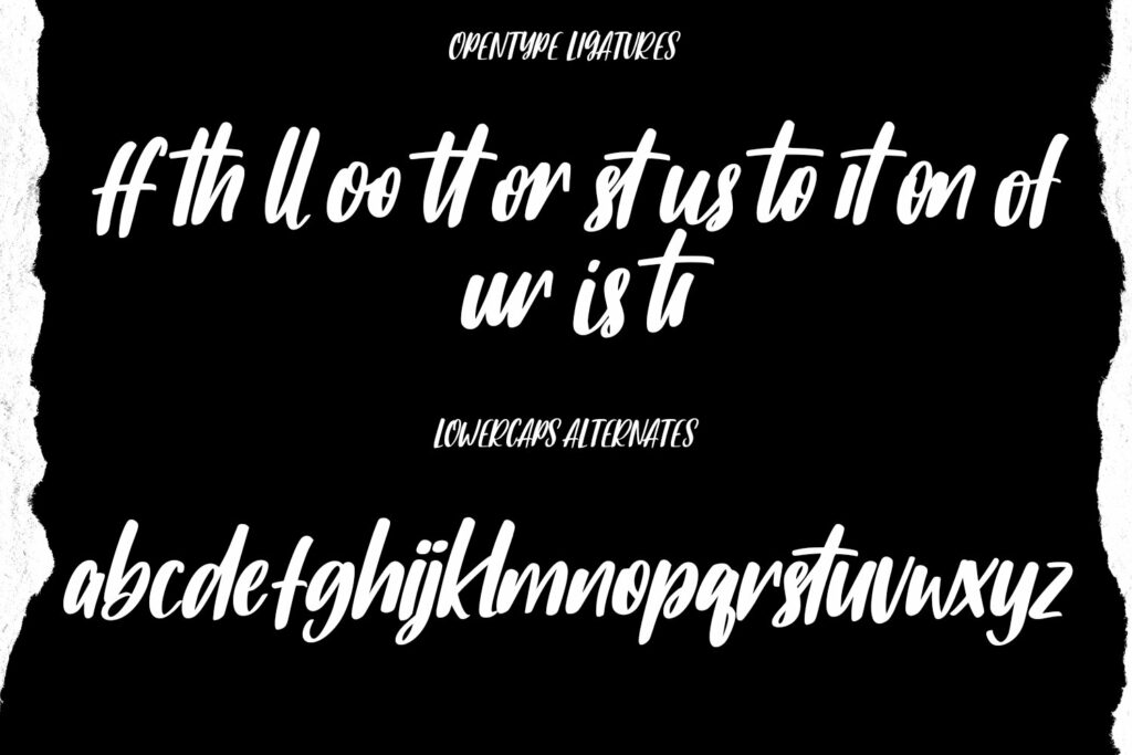 Affectus Handwritten Script Font – MasterBundles