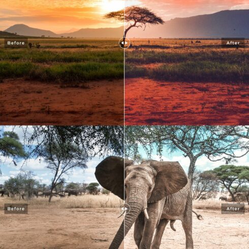 Africa Lightroom Presets Collectioncover image.