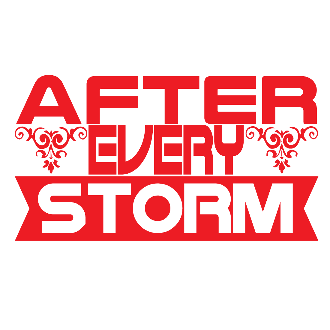 after every storm preview image.