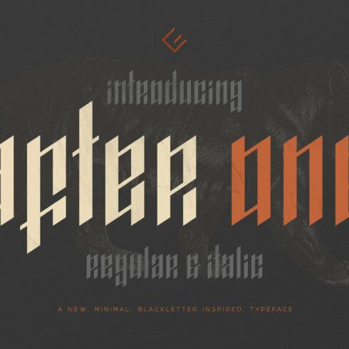 AfterOne - Blackletter Inspired Font cover image.
