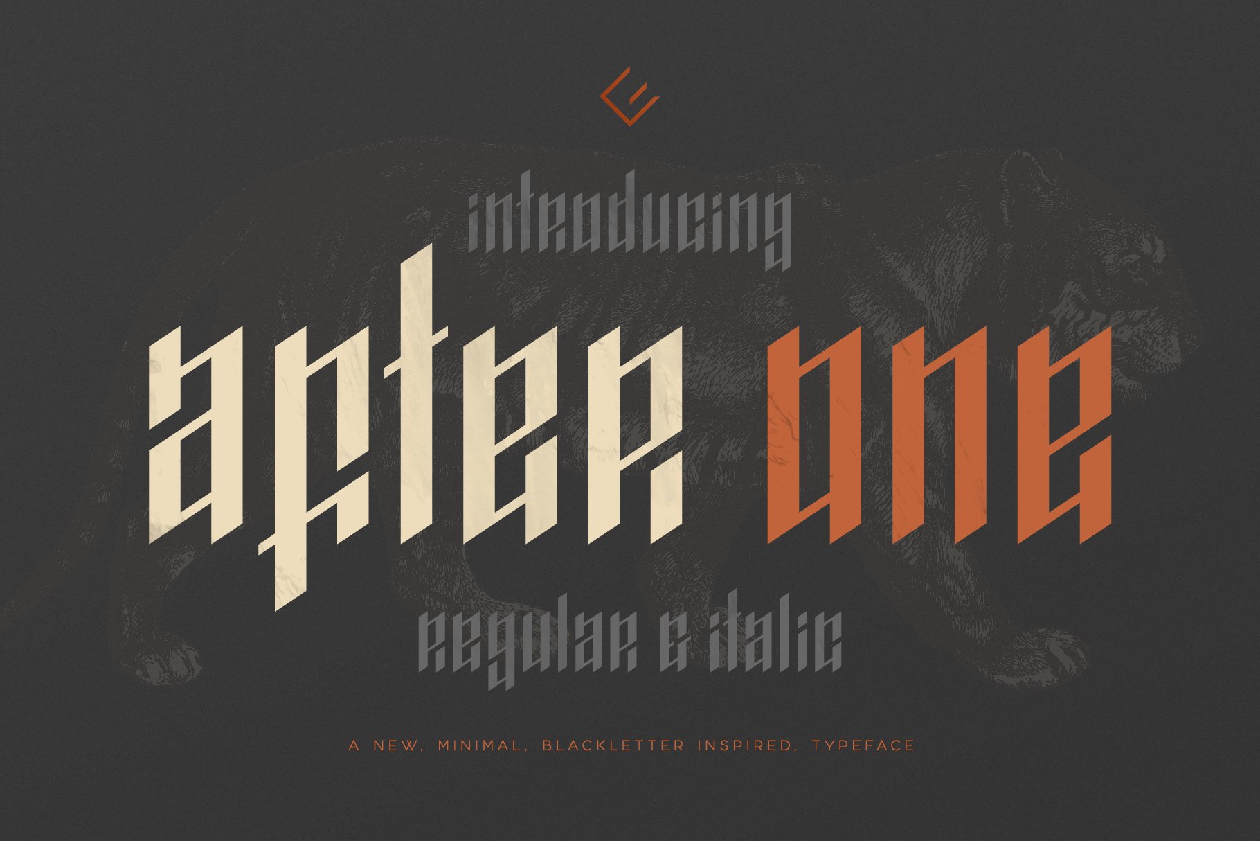 AfterOne - Blackletter Inspired Font cover image.