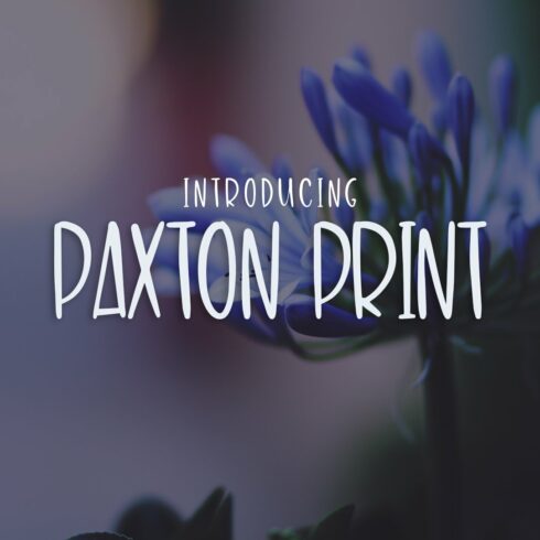 Paxton Print cover image.