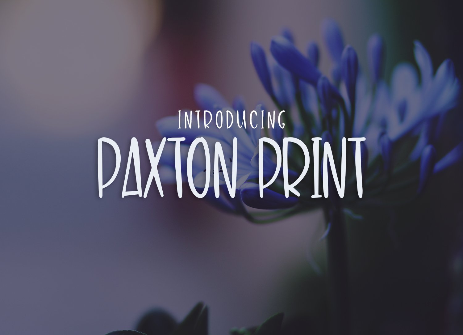 Paxton Print cover image.