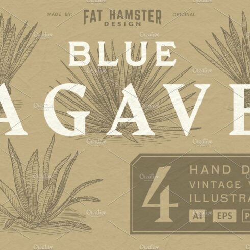 Agave hand drawn vector illustration cover image.