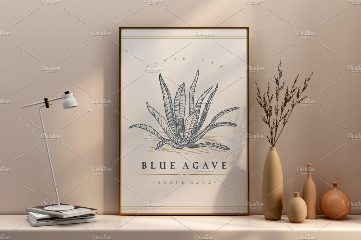 Picture of a blue agave plant on a shelf.