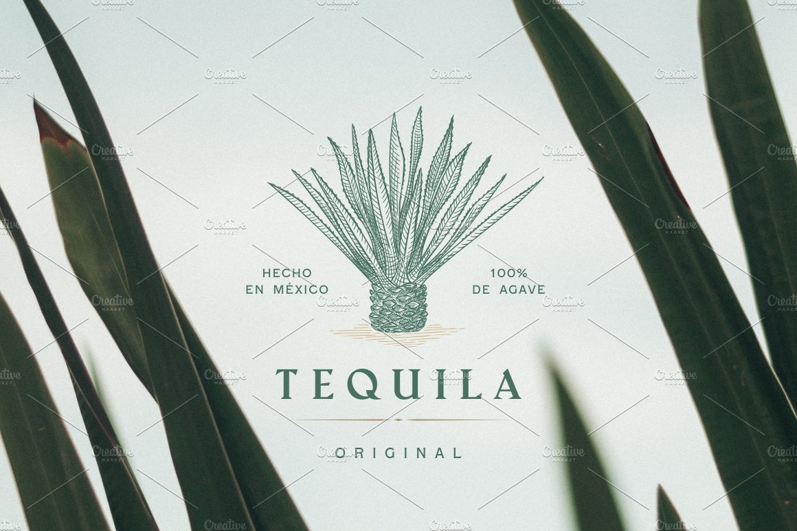 Picture of a plant with the words tequila on it.