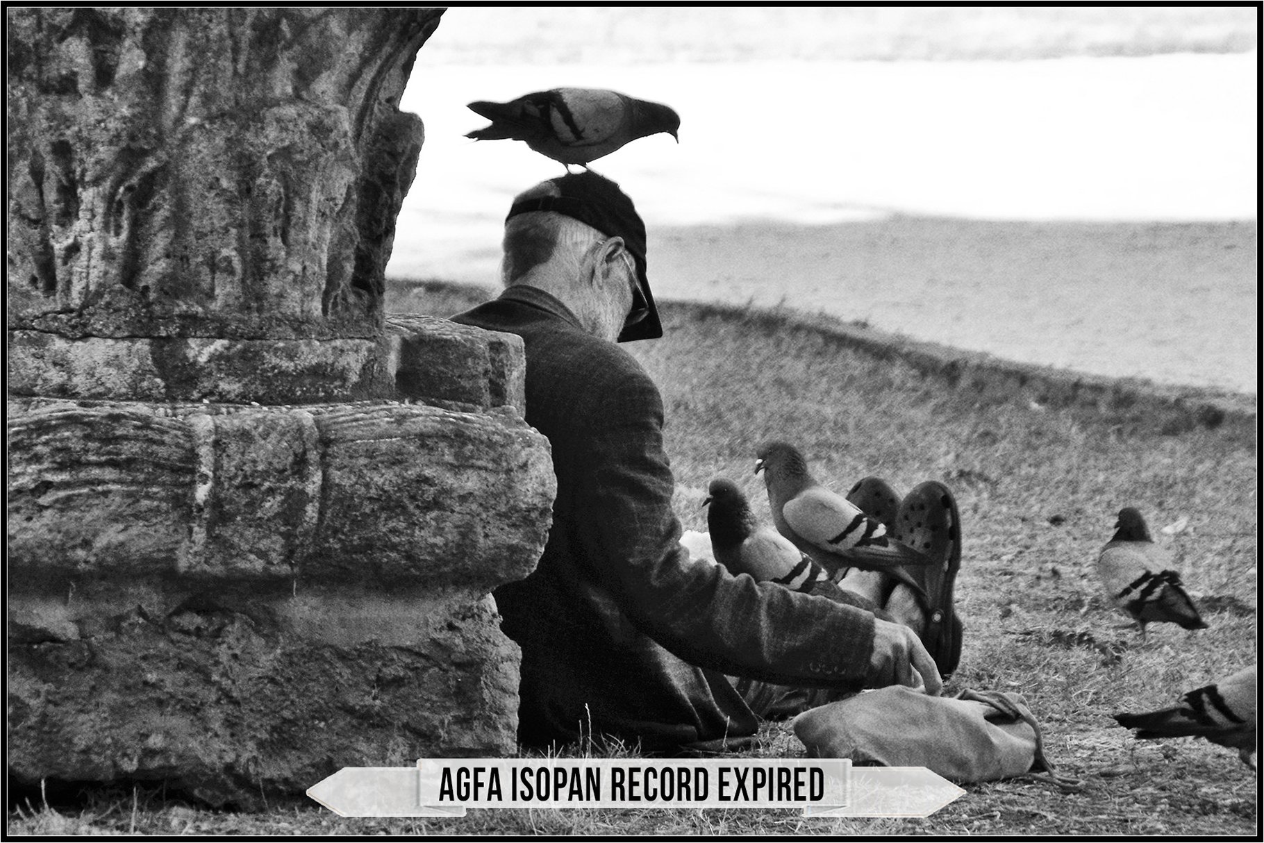 agfa isopan record expired 353