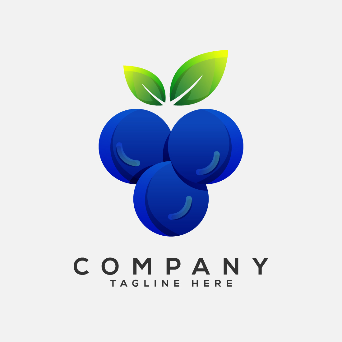 Colorful blueberry logo design template Blueberry vectors preview image.