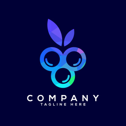 Blueberry low poly style logo design vector template cover image.
