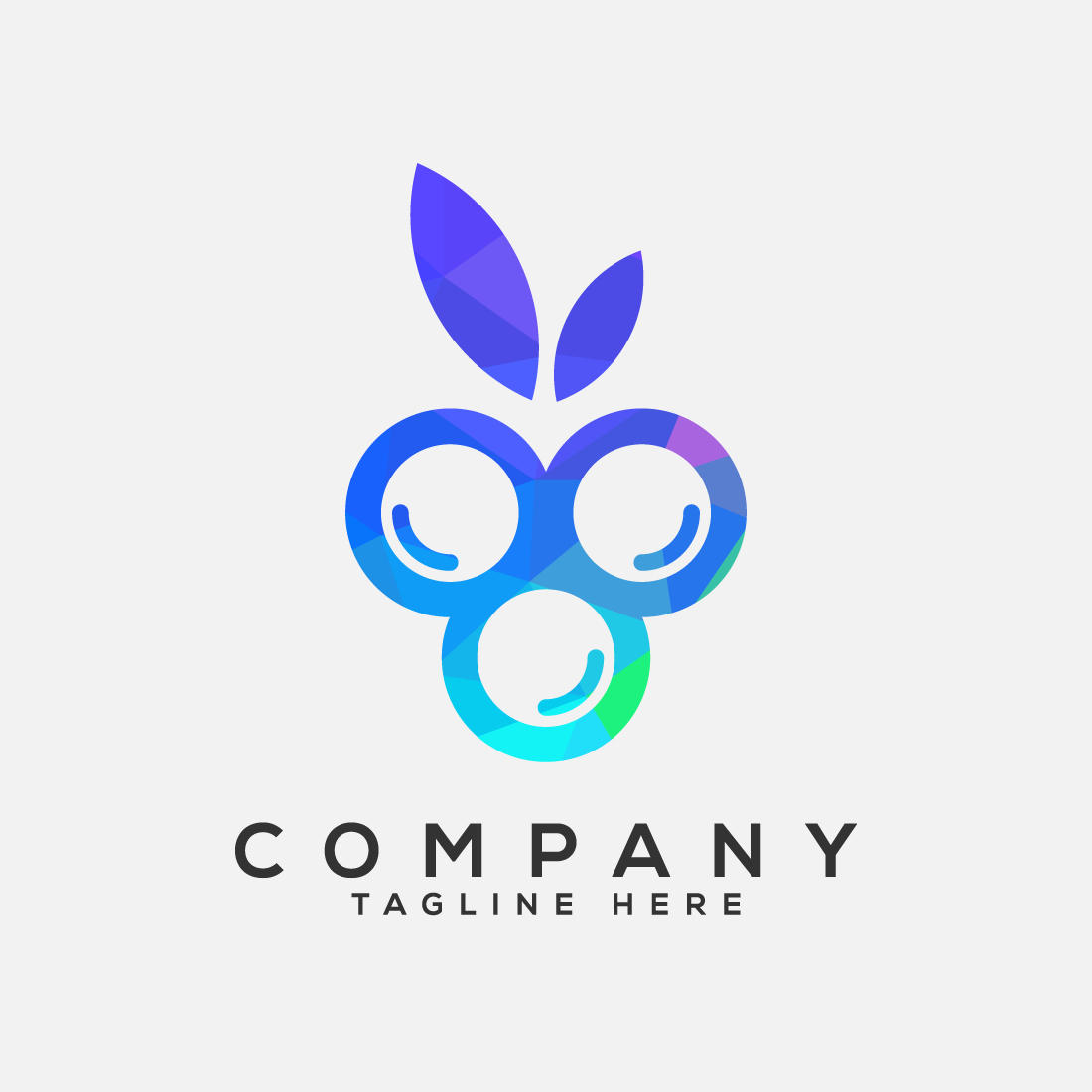 Blueberry low poly style logo design vector template preview image.