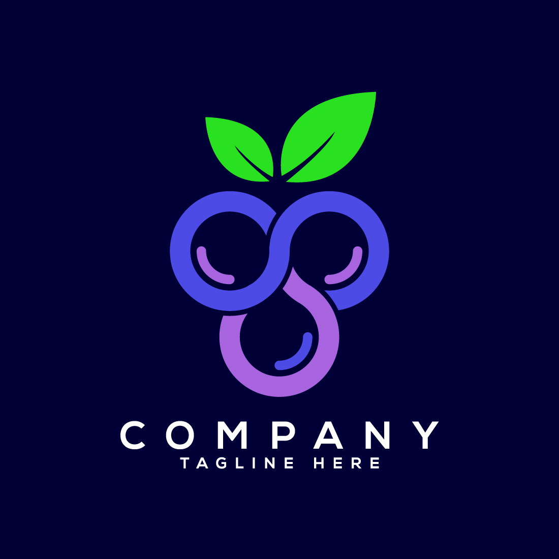 Abstract Blueberry logo design vector template cover image.