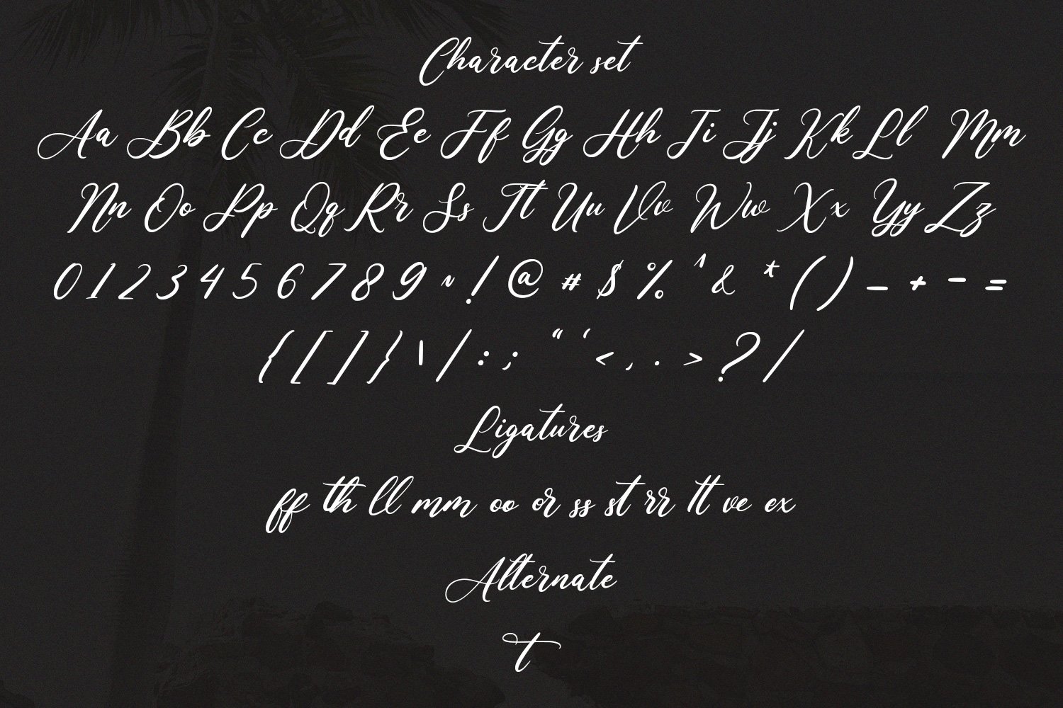 Aisollya Beauty Script Font preview image.