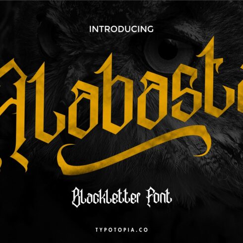 Alabasta - The Blackletter Font cover image.