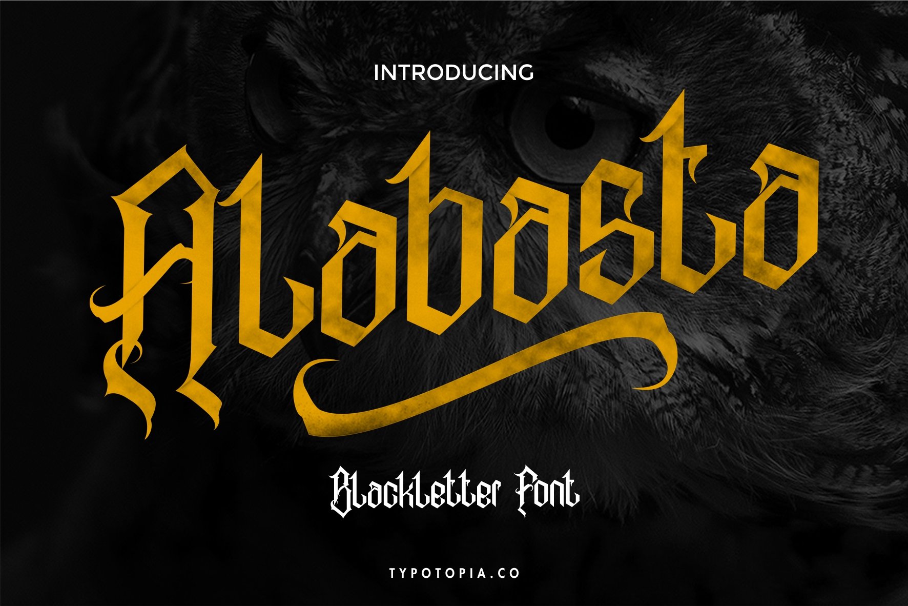 Alabasta - The Blackletter Font cover image.