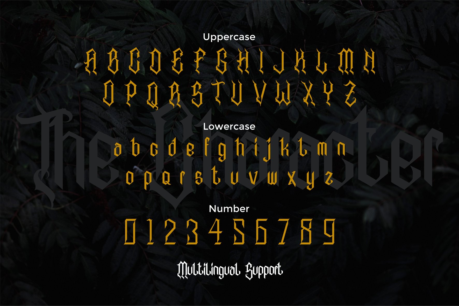 Alabasta - The Blackletter Font preview image.