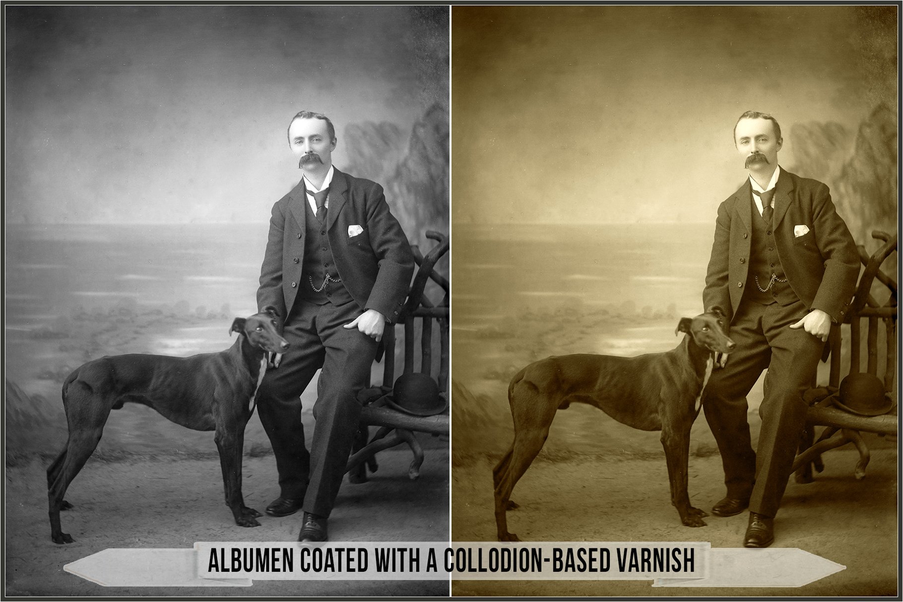 albumen coated with a collodion based varnish 54