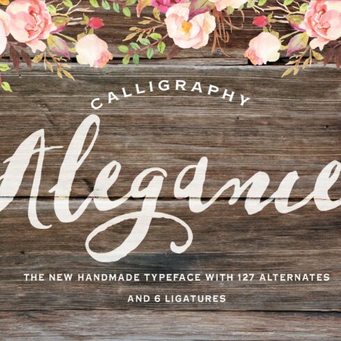 Alegance Typeface cover image.