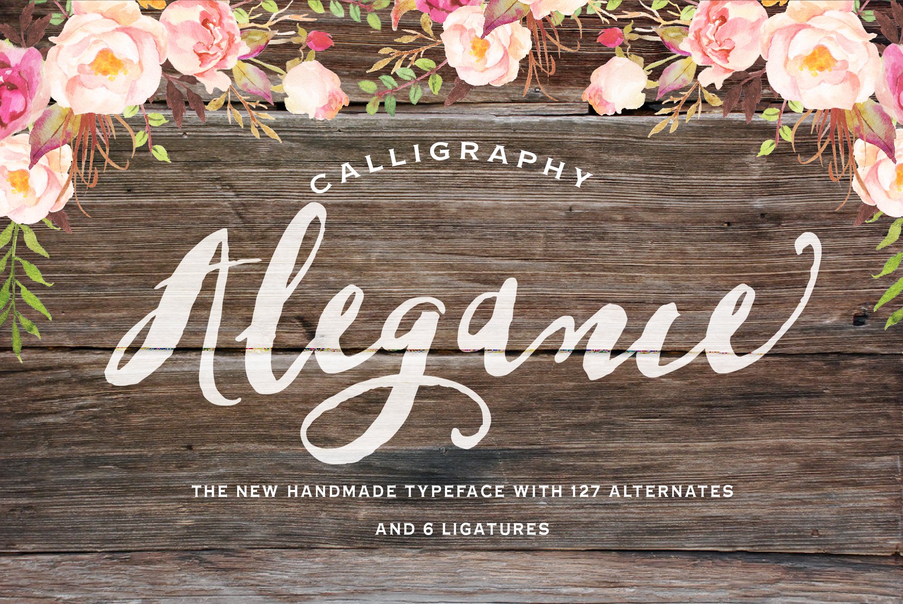 Alegance Typeface cover image.