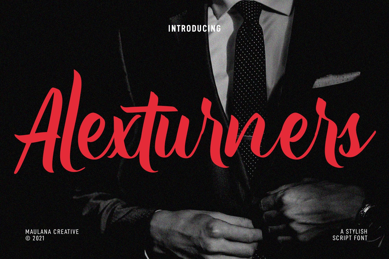 Alexturners Script Font cover image.