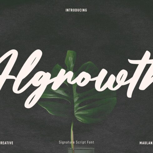 Algrowth Script Font cover image.