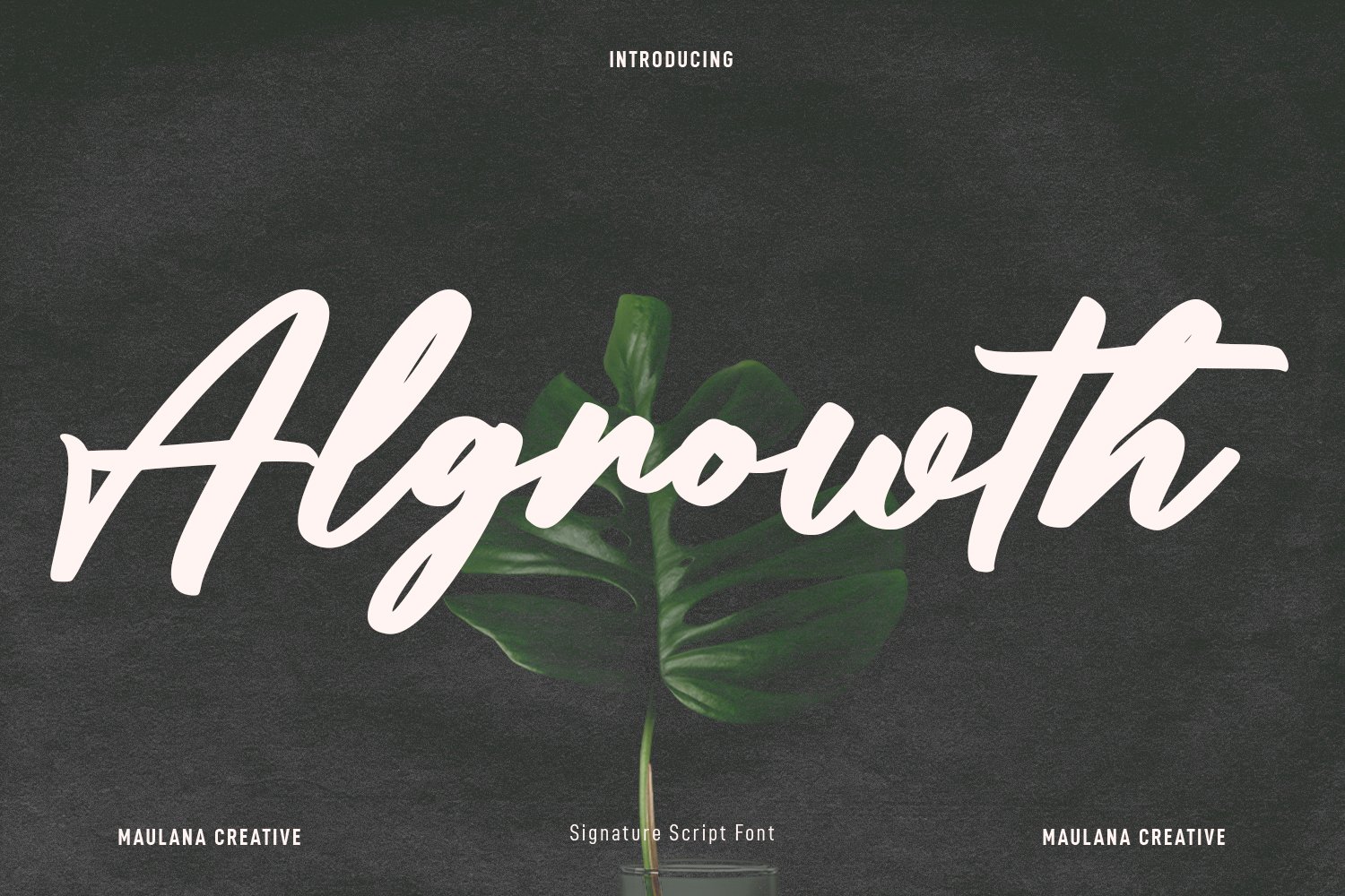 Algrowth Script Font cover image.