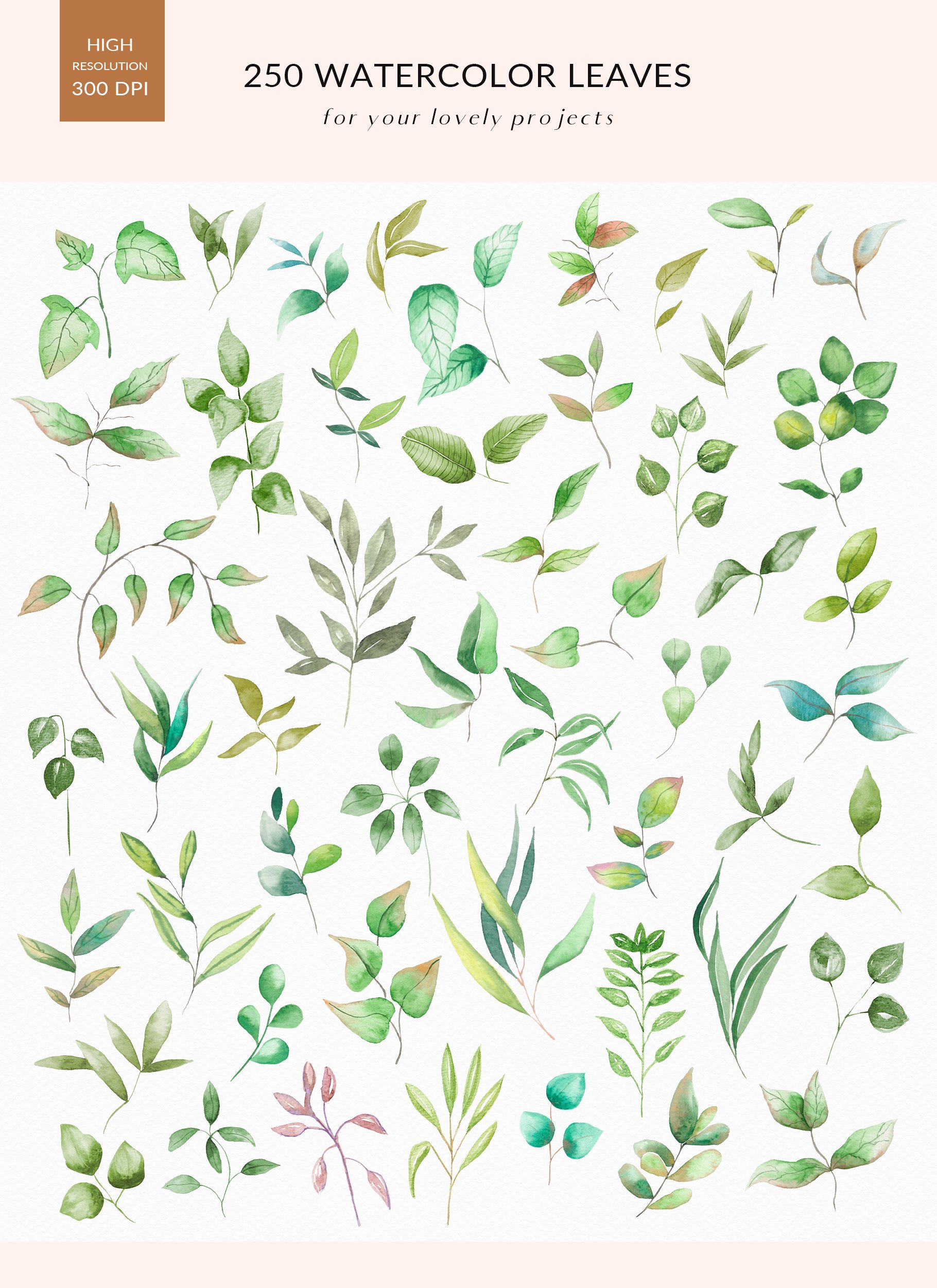 Watercolor Leaves Greenery 250 PNGs preview image.
