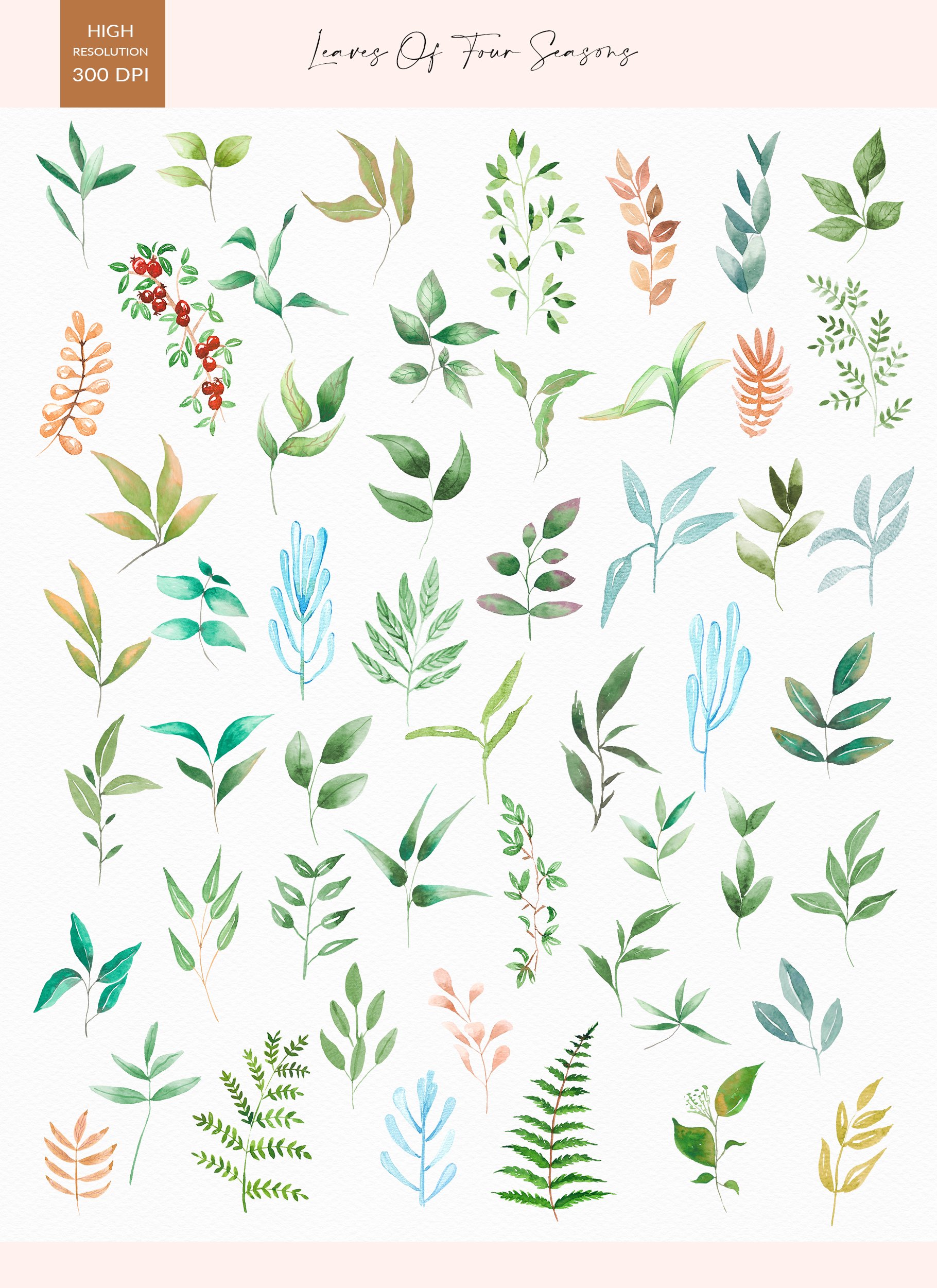 Set of watercolor leaves on a white background.