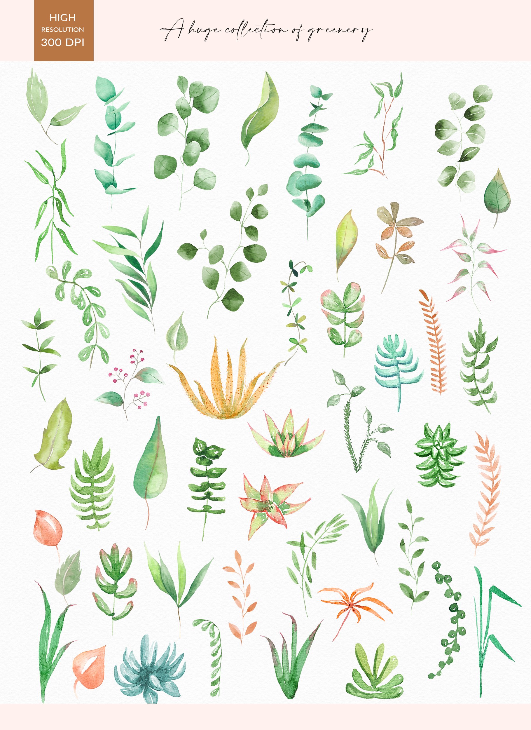 Collection of watercolor plants on a white background.
