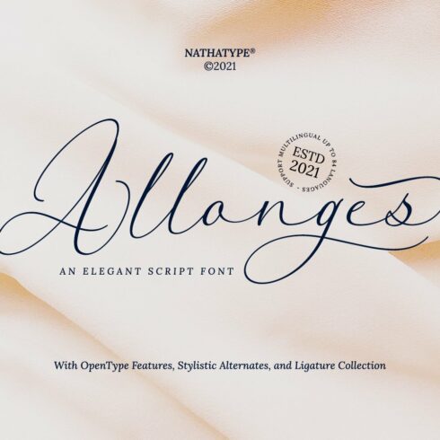 Allonges cover image.