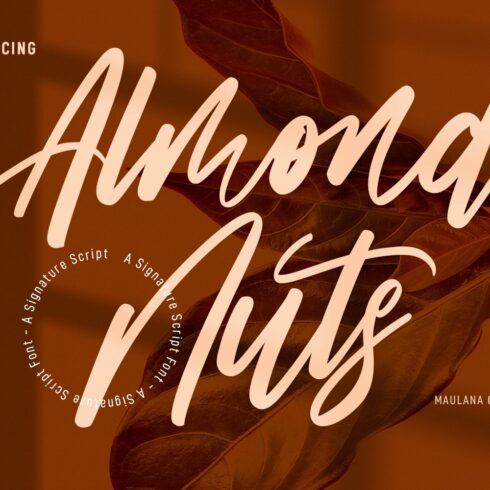 Almond Nuts Signature Script Font cover image.