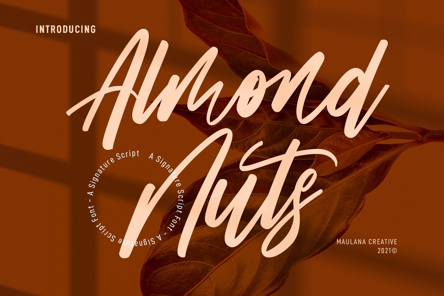 Almond Nuts Signature Script Font cover image.