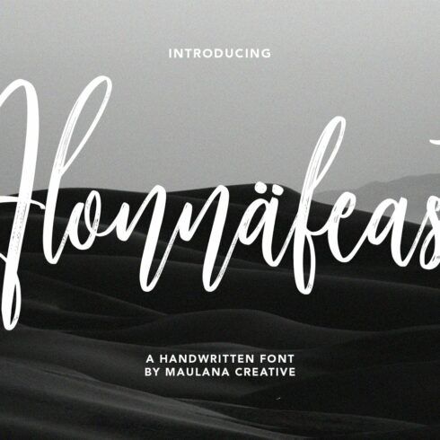 Alonnafeast Brush Script Font cover image.