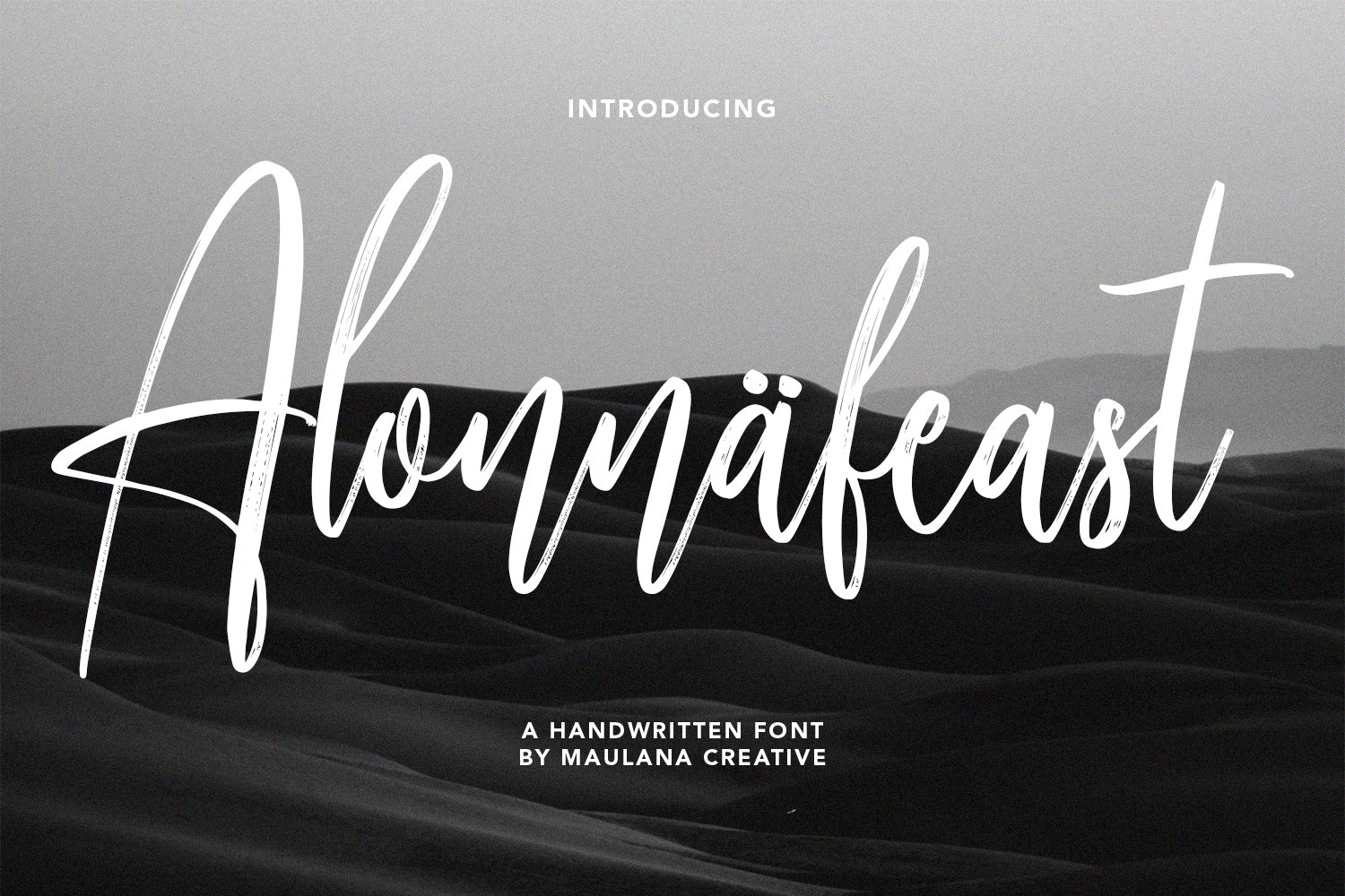 Alonnafeast Brush Script Font cover image.