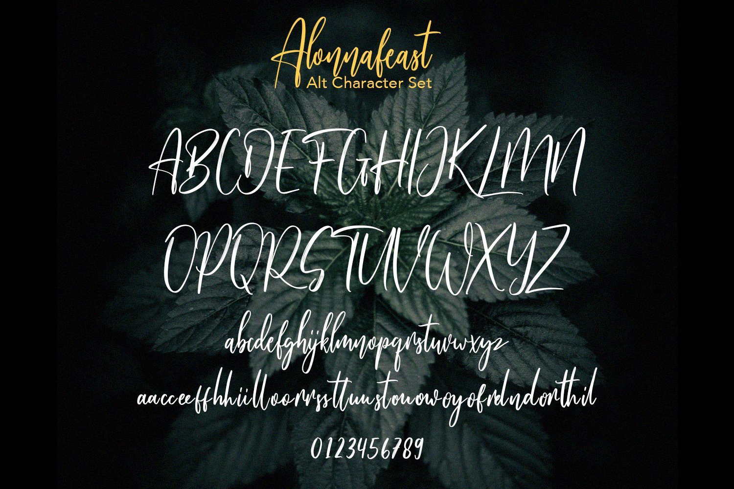 alonnafeast brush script10 371