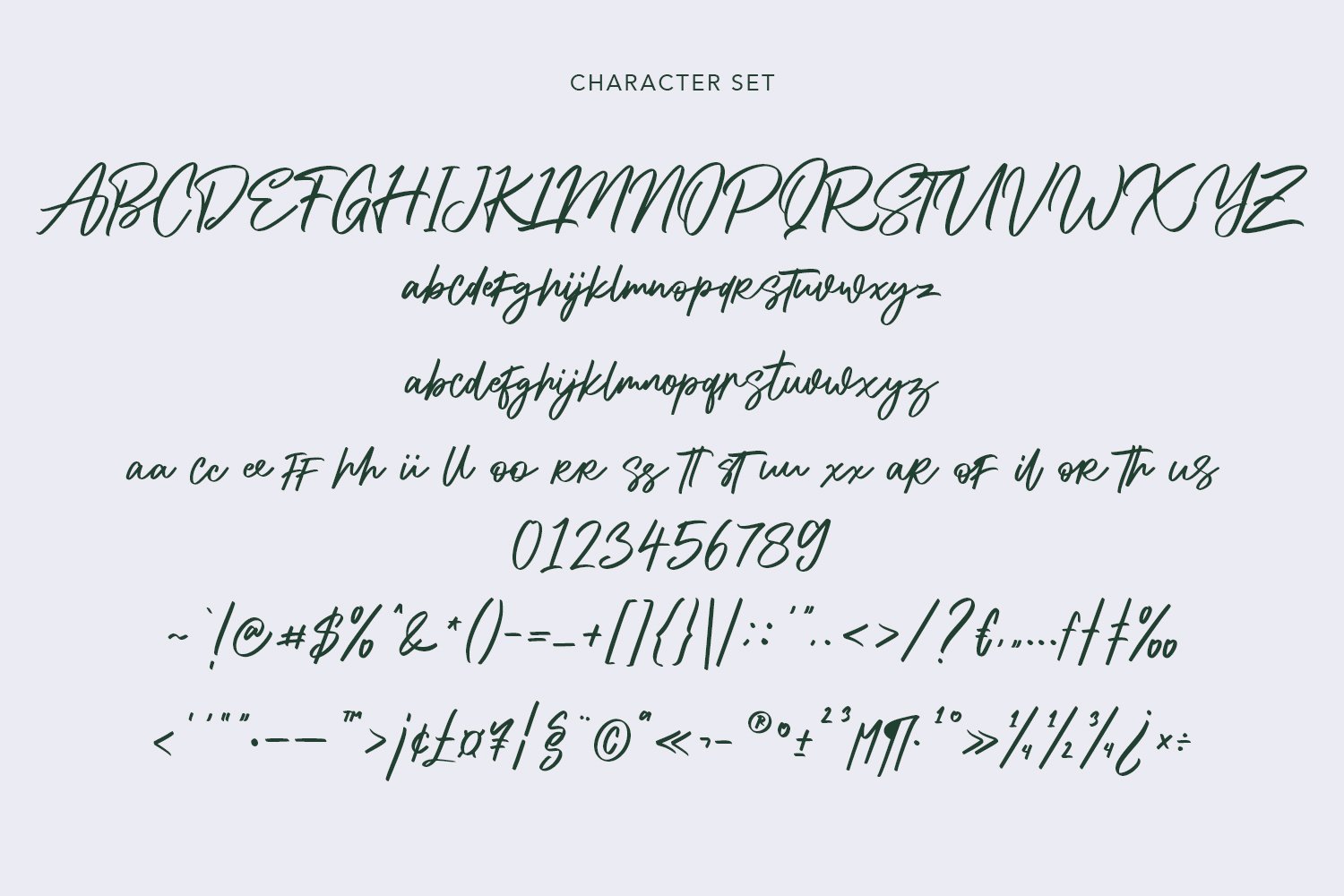 Alphasoil Signature Font preview image.