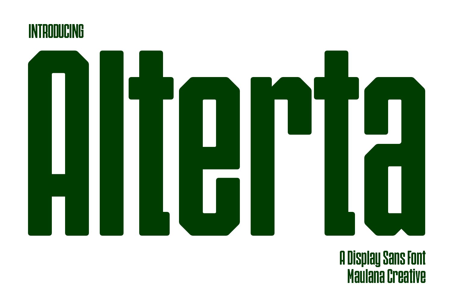 Alterta Sans Display Font cover image.