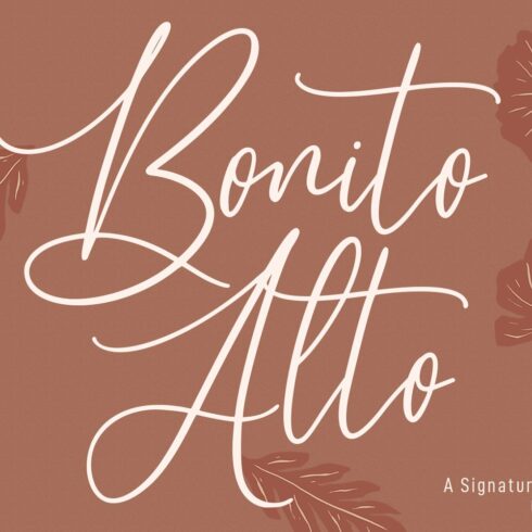 Alto Bonito Script Font cover image.