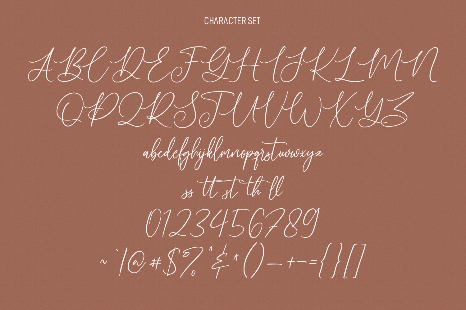 alto bonito script font 8 21