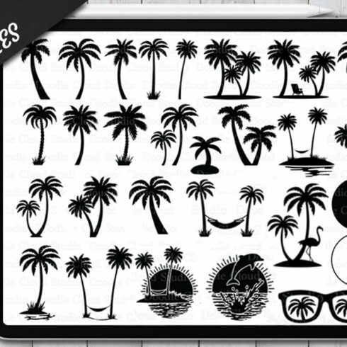 Procreate Palms Tree Stamps Brushes.cover image.