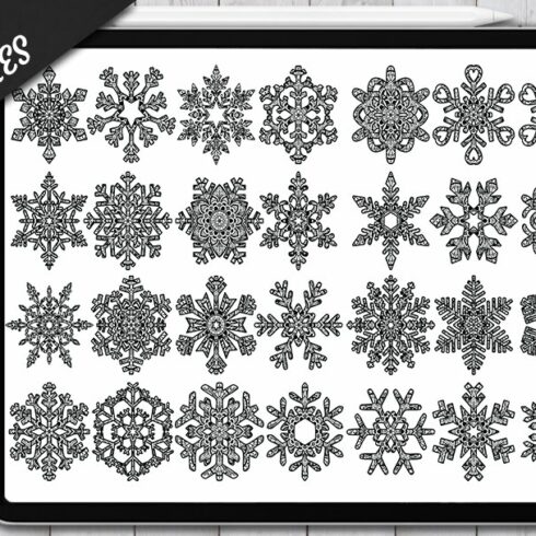 Snowflake Mandala Procreate Stamp.cover image.