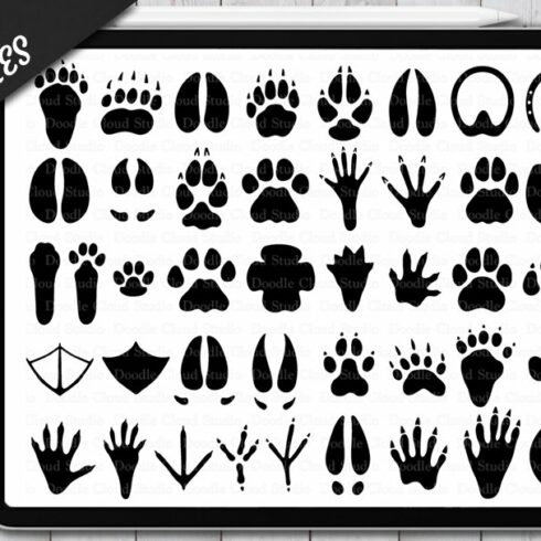 Procreate Animal Paw Stamps Brushes.cover image.