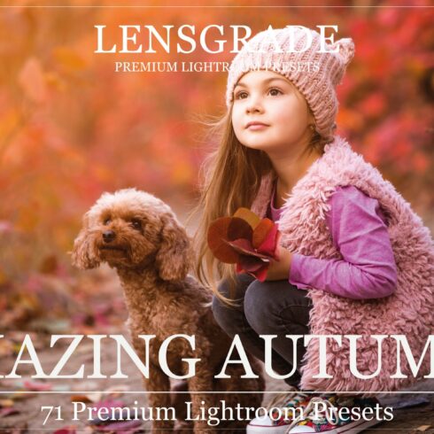71 Autumn Lightroom Presetscover image.